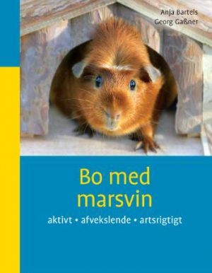 Bo med marsvin (Bog)