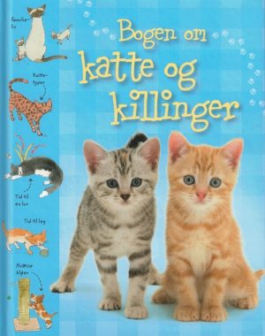 Bogen om katte og killinger (Bog)