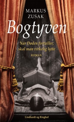 Bogtyven (E-bog)