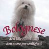 Bolognese (E-bog)