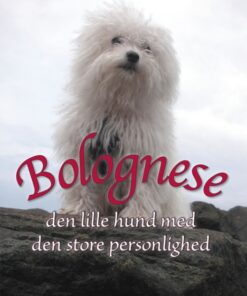 Bolognese (E-bog)