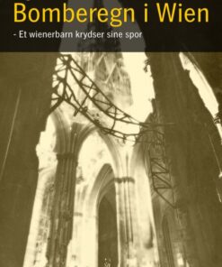 Bomberegn i Wien (Bog)