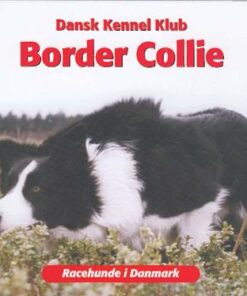 Border Collie (Bog)