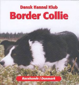 Border Collie (Bog)