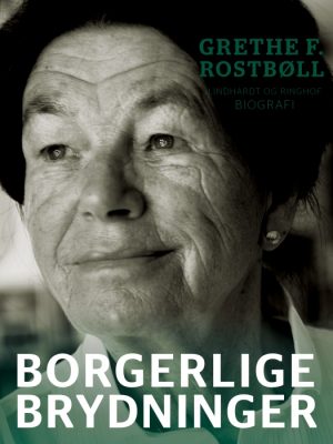 Borgerlige brydninger (E-bog)