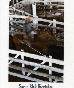 Borges Og Gauchofortællingerne - Søren Blak Hjortshøj - Bog