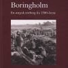 Boringholm (Bog)