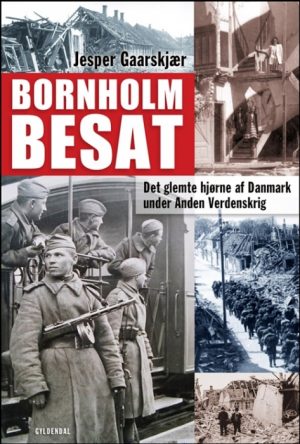 Bornholm besat (Bog)