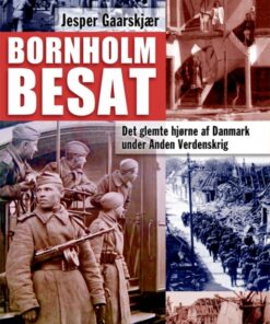 Bornholm besat (E-bog)