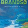 Brandsø - Pia Viscor - Bog
