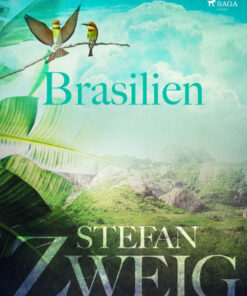 Brasilien (E-bog)