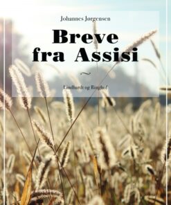 Breve fra Assisi (E-bog)