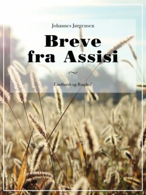 Breve fra Assisi (E-bog)