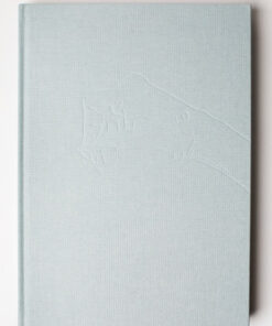 Brevstemmer (Bog)