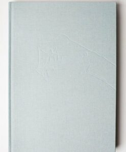 Brevstemmer - Vibeke Rønsbo - Bog