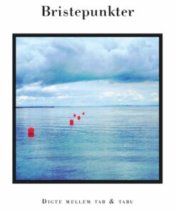 Bristepunkter - Susanne Holte - Bog