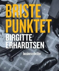 Bristepunktet - Birgitte Erhardtsen - Bog