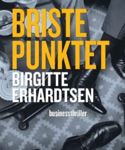 Bristepunktet (Bog)