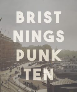 Bristningspunkten (E-bog)