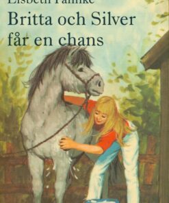 Britta och Silver får en chans (E-bog)