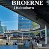 Broerne i København (Bog)