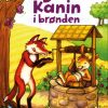 Bror Kanin i brønden (Bog)