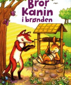Bror Kanin i brønden (Bog)