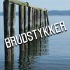 Brudstykker (Bog)