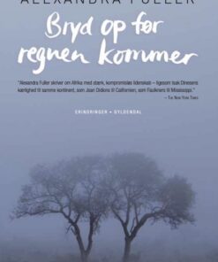 Bryd op før regnen kommer (E-bog)