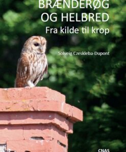 Brænderøg Og Helbred - Solveig Czeskleba-dupont - Bog