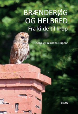 Brænderøg Og Helbred - Solveig Czeskleba-dupont - Bog