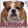 Bulldog (Bog)