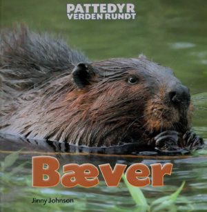 Bæver (E-bog)