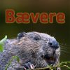 Bævere (E-bog)