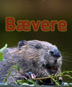 Bævere (E-bog)