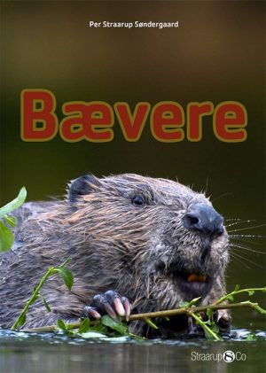 Bævere (E-bog)