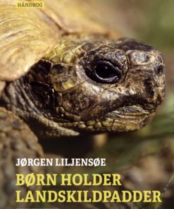 Børn holder landskildpadder (E-bog)