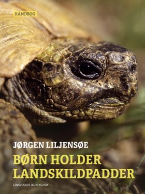 Børn holder landskildpadder (E-bog)