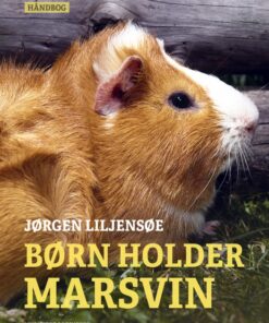 Børn holder marsvin (E-bog)
