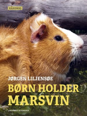 Børn holder marsvin (E-bog)