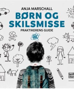 Børn og skilsmisse (E-bog)