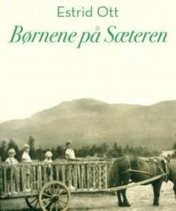 Børnene på Sæteren (E-bog)