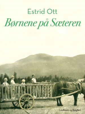 Børnene på Sæteren (E-bog)