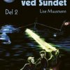 Børnene ved Sundet (E-bog)