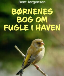 Børnenes bog om fugle i haven (E-bog)