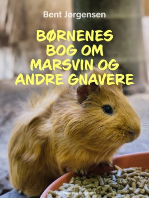 Børnenes bog om marsvin og andre gnavere (E-bog)