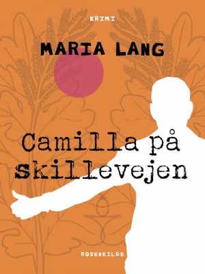 Camilla på skillevejen (E-bog)