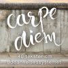 Carpe Diem - Mikael Busch - Bog
