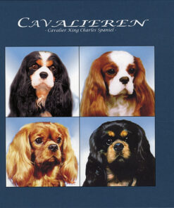 Cavalieren (Bog)