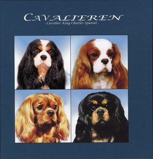 Cavalieren (Bog)